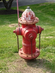 2006-06-17 _51_